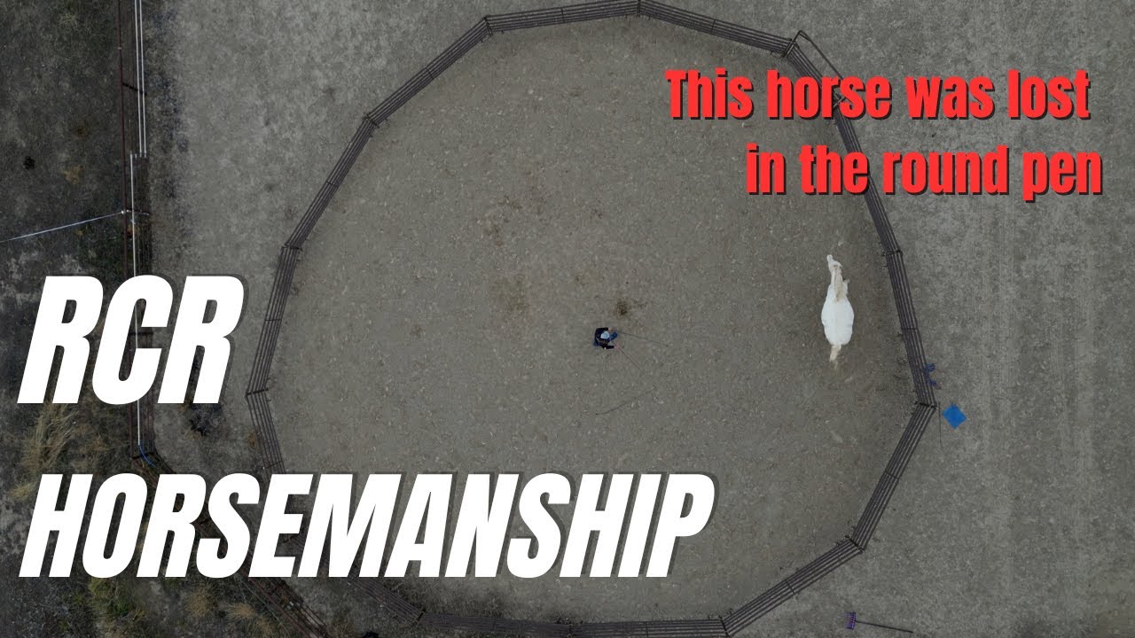 Consistency Before Perfection: A Round Pen Lesson