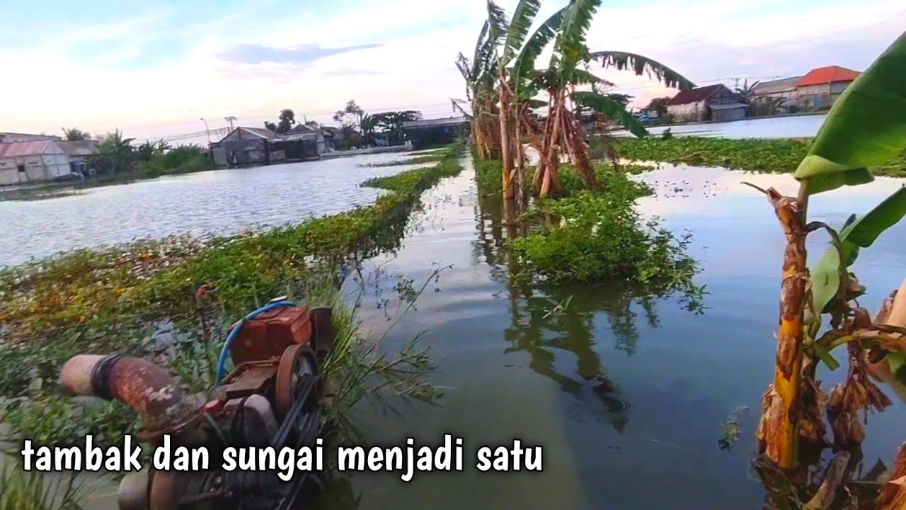Spot macam ini yang dicari pemancing dari luar kota