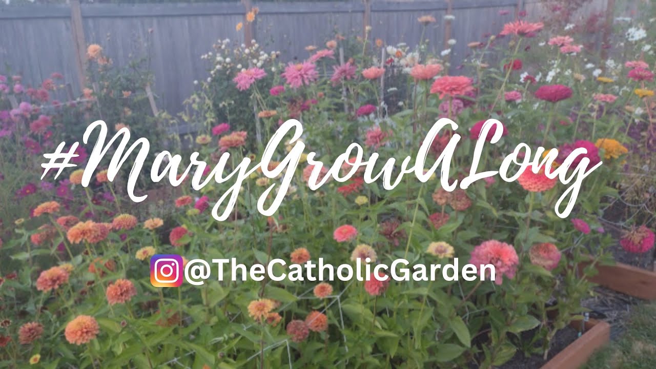 Mary Garden Grow-A-Long Spring 2023