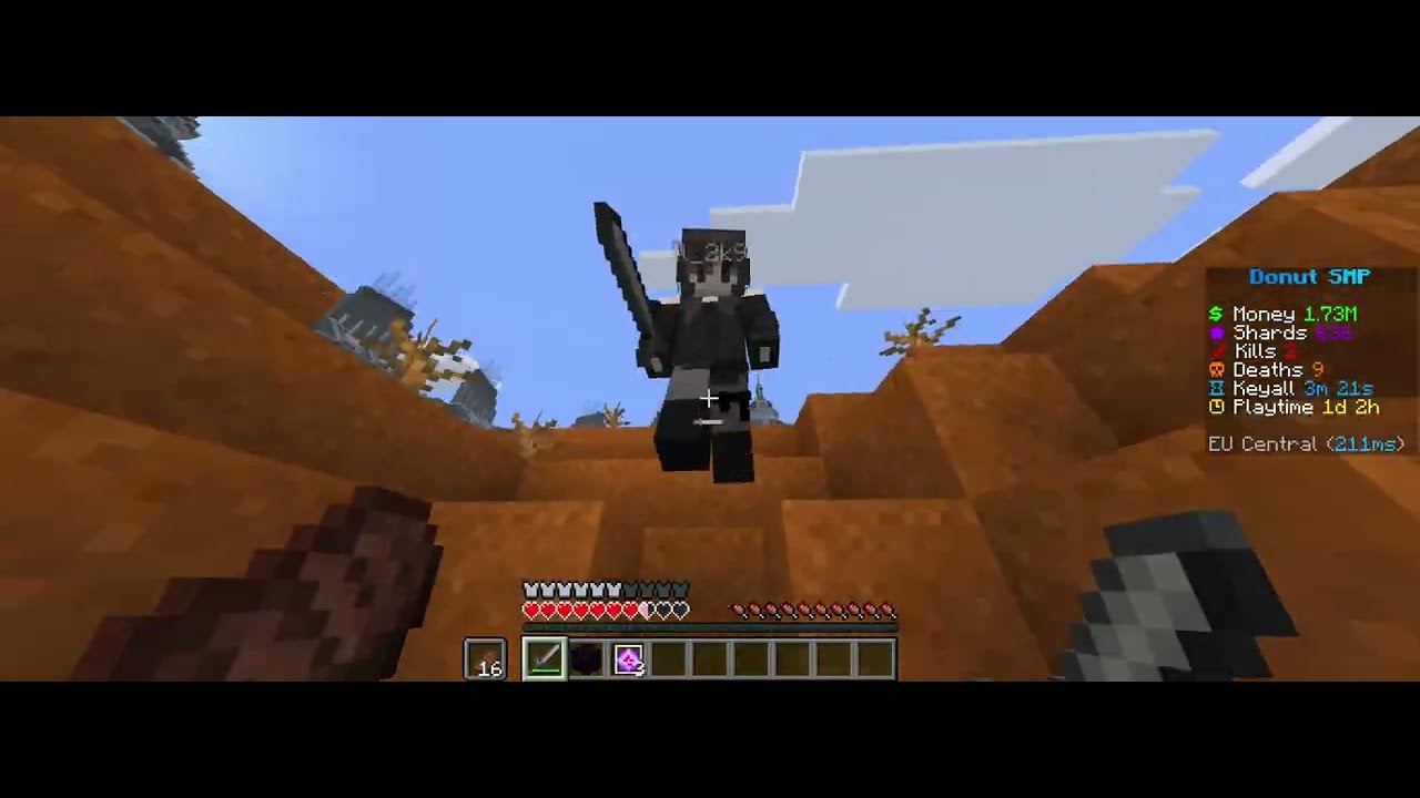 My experience on donut smp