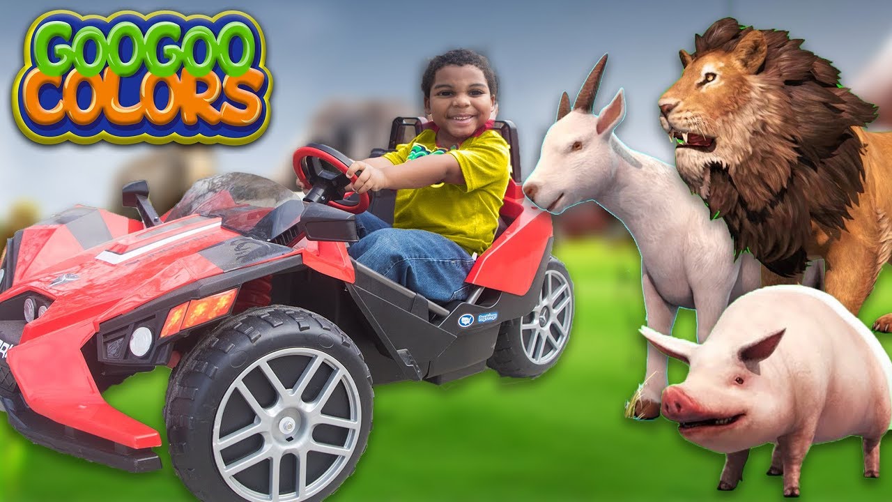 GOO GOO GAGA & ZOO ANIMALS PLAY HIDE N SEEK! LEARN TO COUNT TO 5