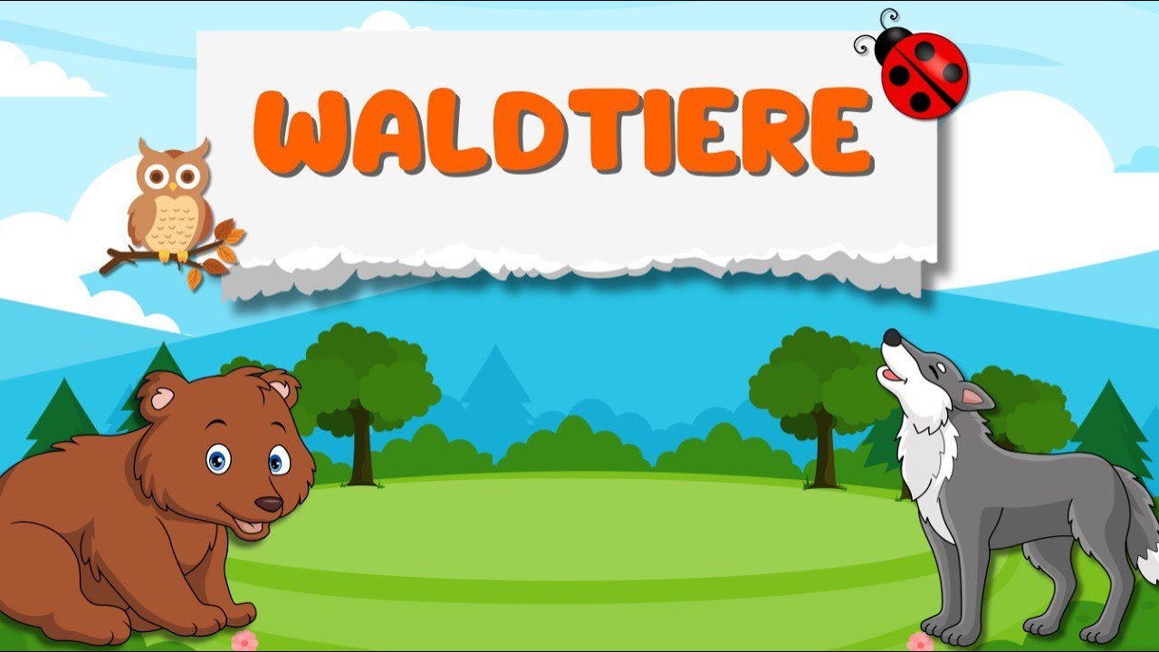 Waldtiere | Tiere lernen f&uuml;r Kinder | Tiere des Waldes | Lernvideo f&uuml;r Kinder | Learn animals