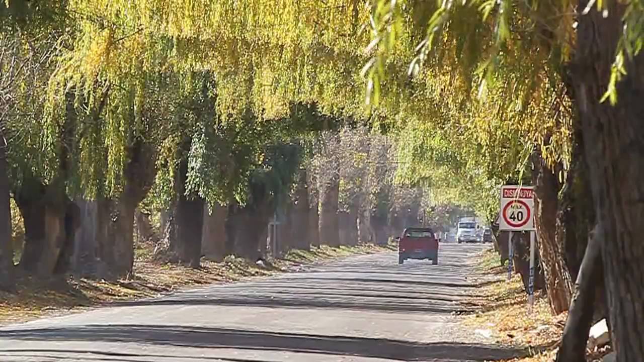 Otoño en Mendoza, Argentina