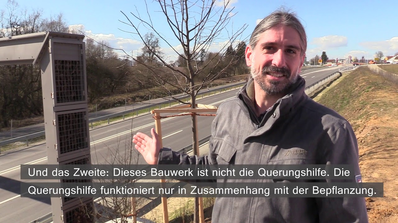 Haselmausbrücke: Staatliches Bauamt räumt Missverständnisse aus