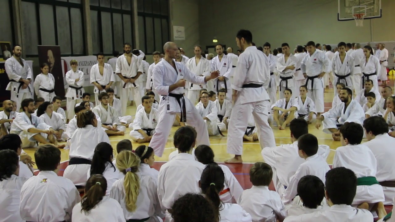 Sensei Shimitzu , JKA Hombu Dojo Instructor