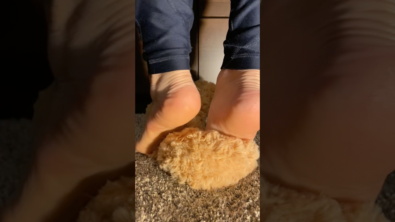 TEDDY BEAR STOMPING | ASMR & CRUSHING