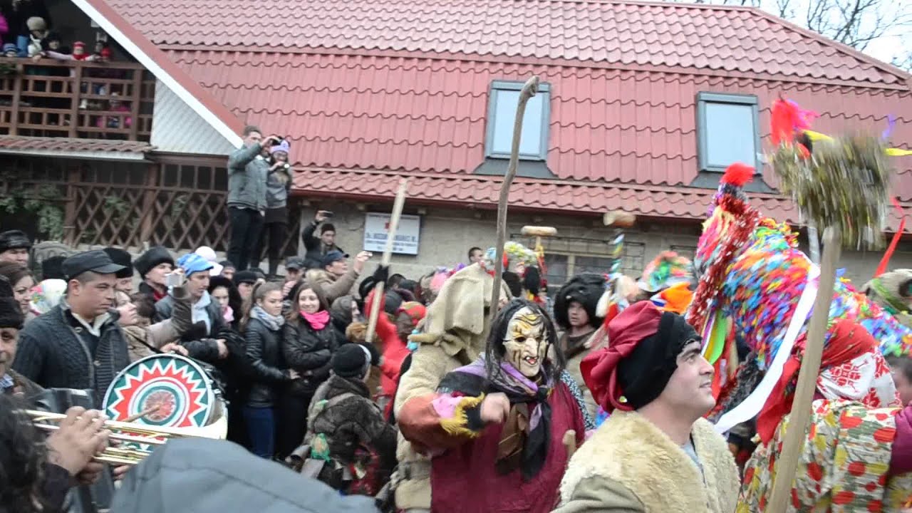 Capra de la Caraclau - 2 - Comuna Barsanesti - 2014
