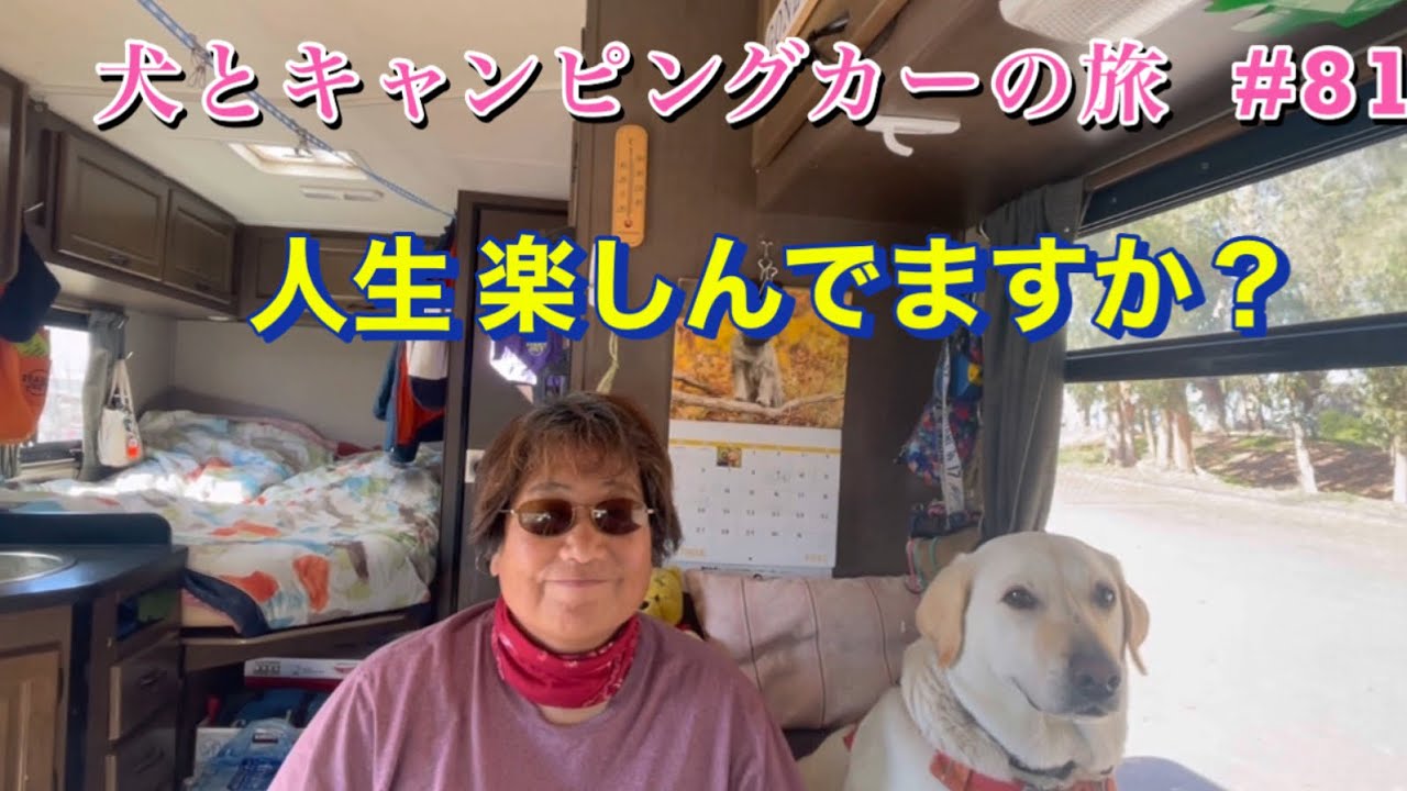 人生 楽しんでますか？　犬とキャンピングカーの旅#81