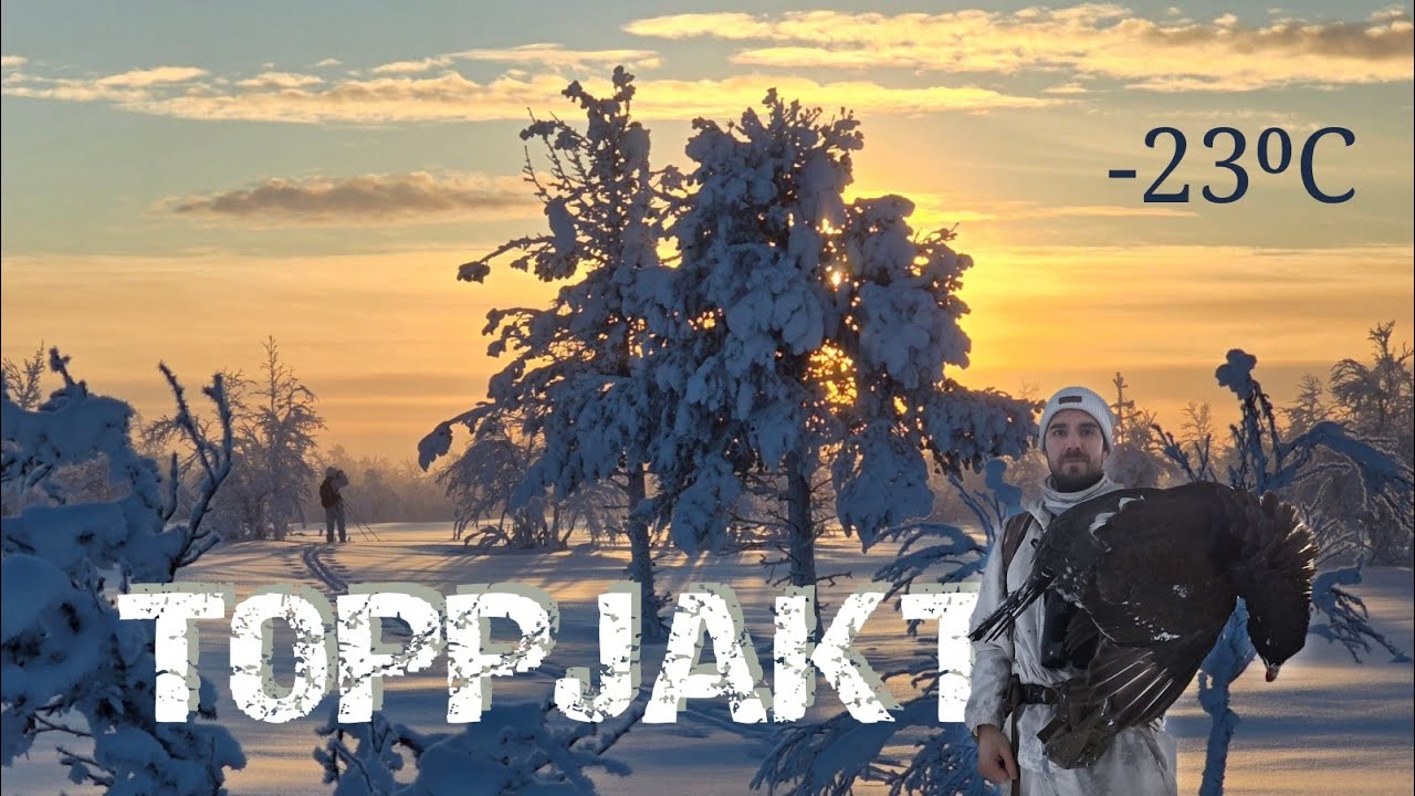 Toppjakt i fjällen - De sista tallarna