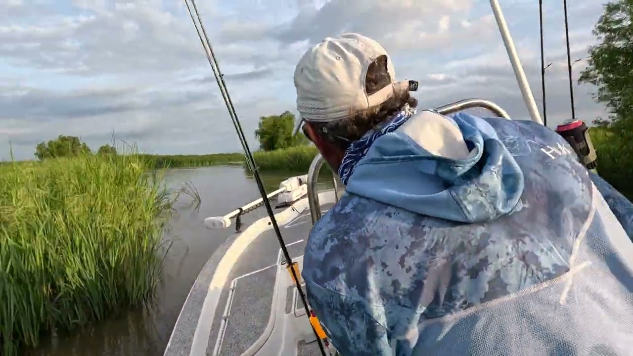 Venice, Louisiana Inshore Fishing (Pisces Charters)