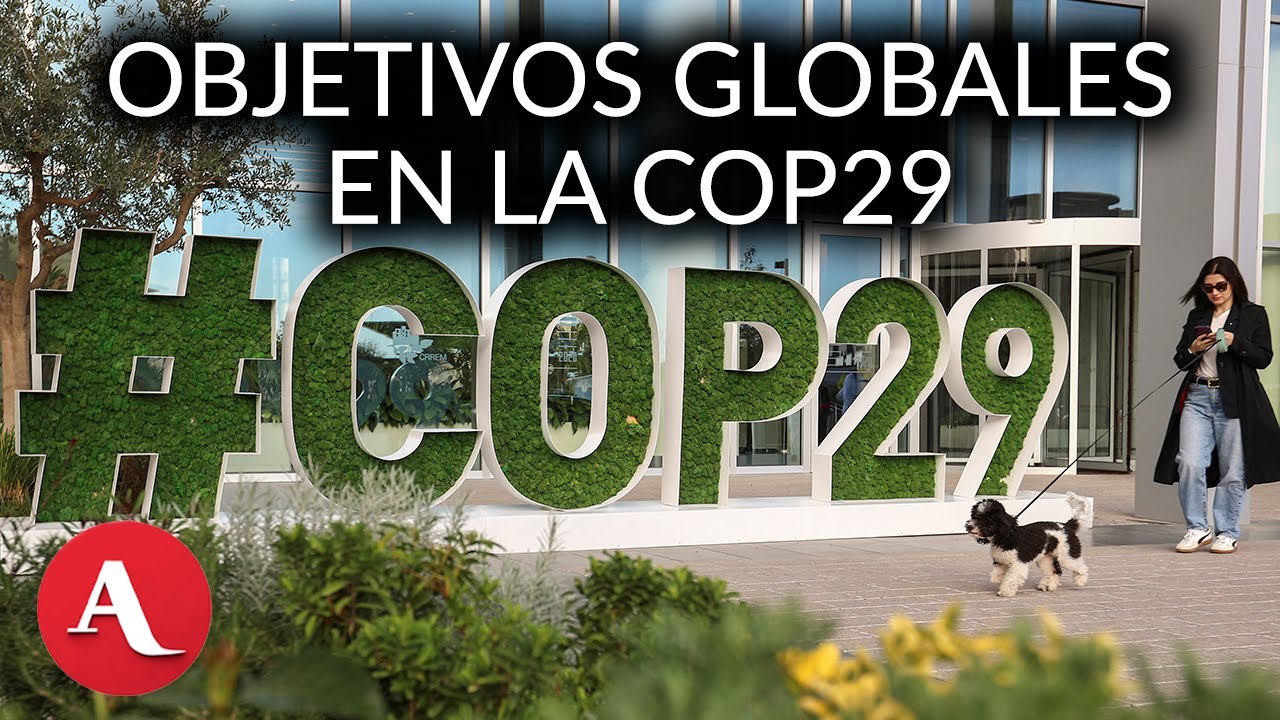 México planteará en la COP29 elevar el uso de energías renovables: Gustavo Alanís