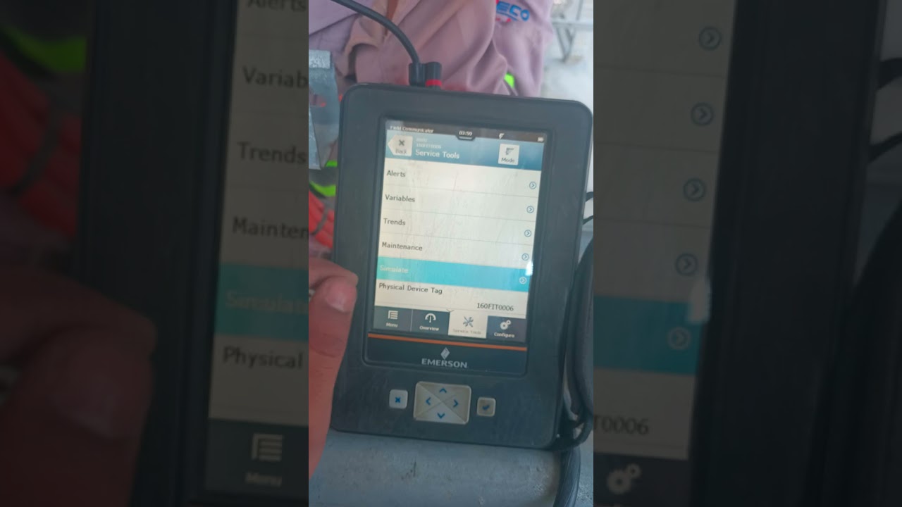 FIT Instrument loop check and setting FF Type Rosemount sensor type