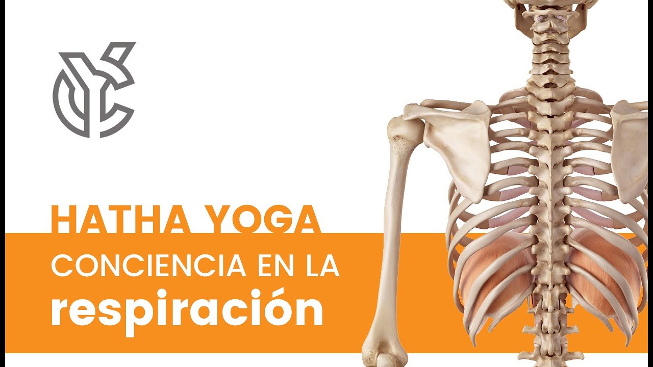 Conciencia de la respiración