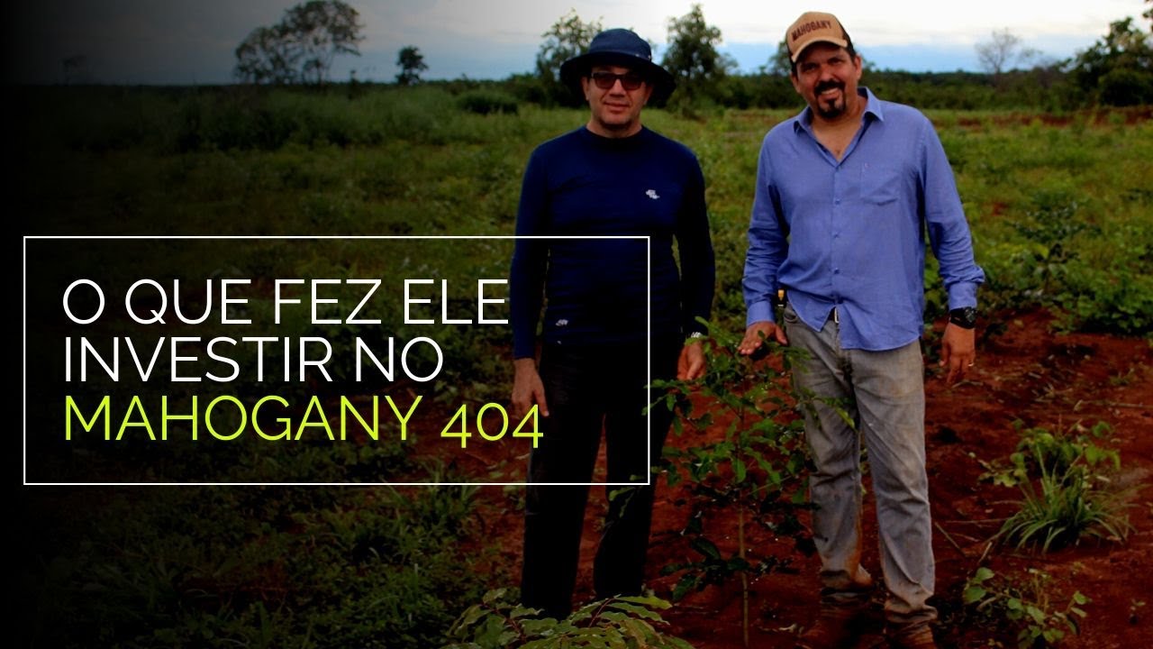 O QUE FEZ ELE INVESTIR NO MAHOGANY 404
