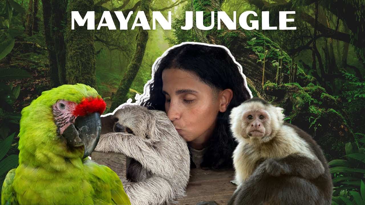 Roatán, Honduras: ATVs & Monkey & Sloths Encounters 🦥🔥 | Bodden Tours: Mayan Jungle Edition