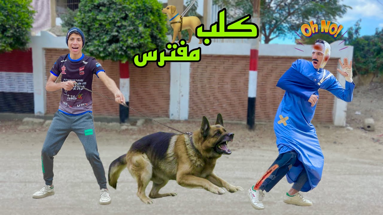 لما اخوك الصغير يلاقي كلب مفترس في الشارع ويجيبوا البيت الجزء التاني 🐕😂| علاء حسين