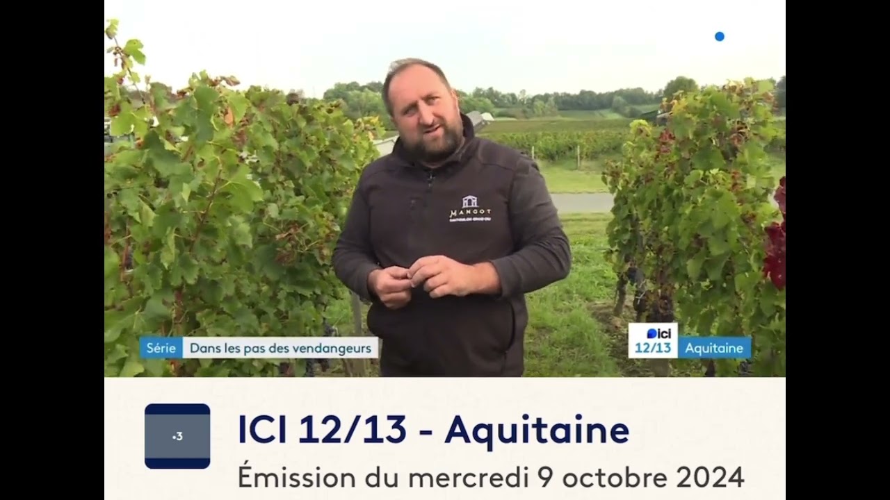 REPORTAGE FRANCE 3 Vendanges 2024 Château Mangot