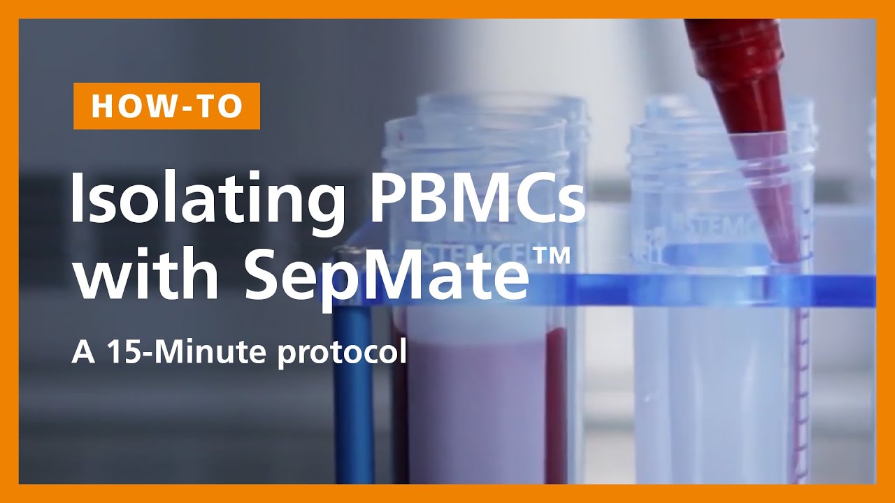 How to Isolate PBMCs from Whole Blood Using the SepMate&trade; PBMC Isolation Tubes: 15-Minute Protocol
