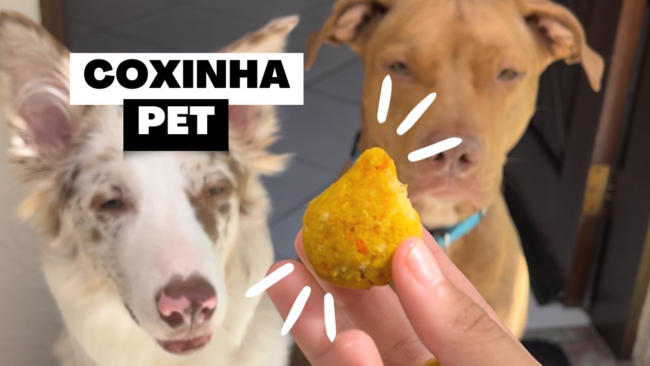 Como fazer coxinha para cachorro | coxinha pet