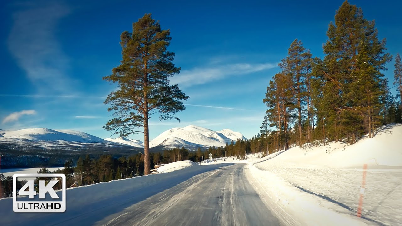 Winter Drive in Central Norway: Rondane National Tourist Route | 4K 60fps