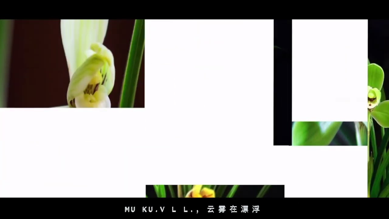 W:B..SI,WEI= 瓦巴斯微/阿来罗罗（傈僳歌曲Lisu song)