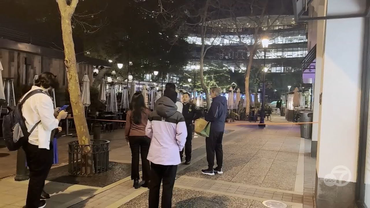 Victim fatally stabbed at San Jose's Santana Row was a 15-year-old boy, police say