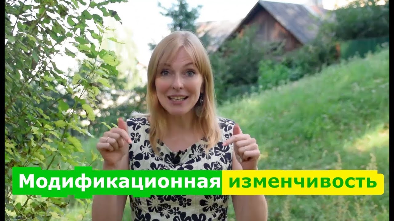 Биология | Модификационная изменчивость. Типы, значение и примеры