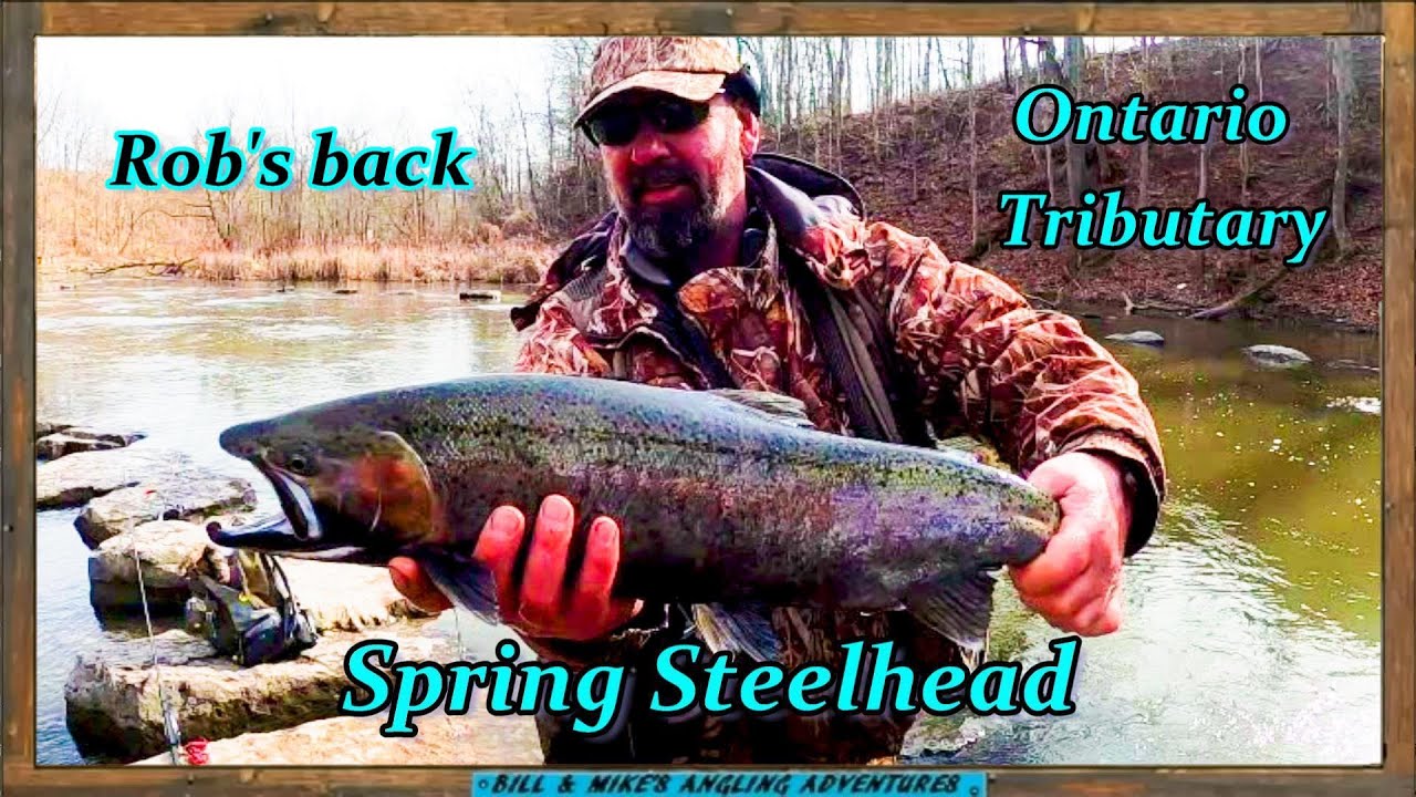 Burt Dam Spring Steelhead