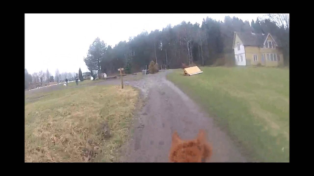 Feltritt p&aring; Skedsmo med hjelmkamera