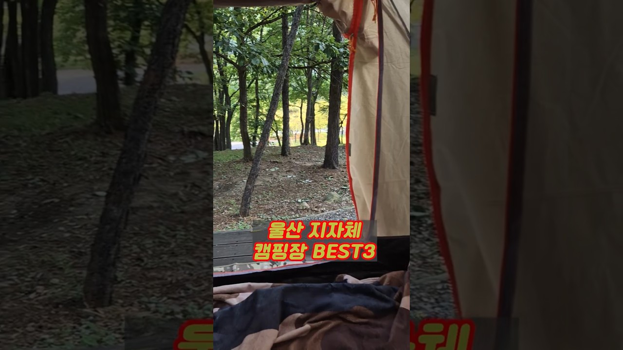 울산 캠핑장 추천 TOP 3 (작천정&middot;강동&middot;당사 오션캠프)