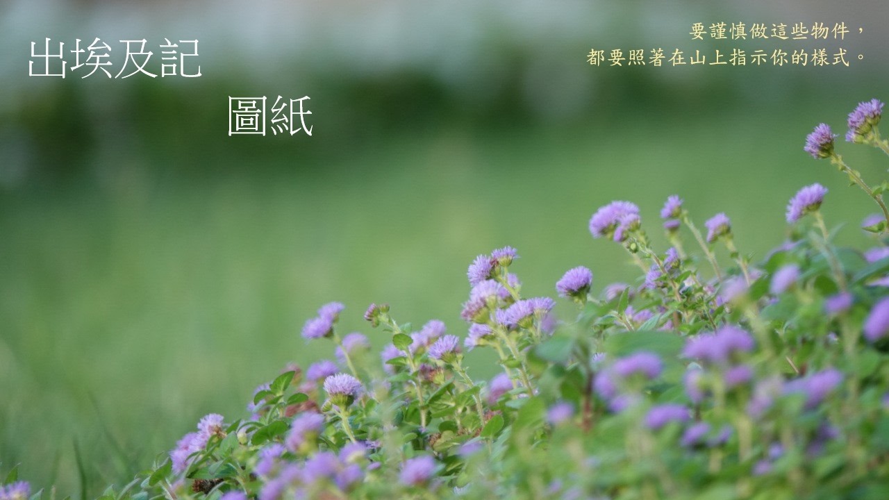 靈修: 出埃及記-圖紙 20260212