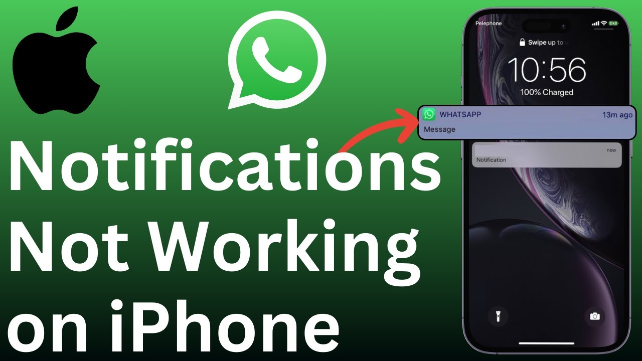 [ИСПРАВЛЕНО] Уведомления WhatsApp не отображаются на iPhone (если я не открываю приложение)