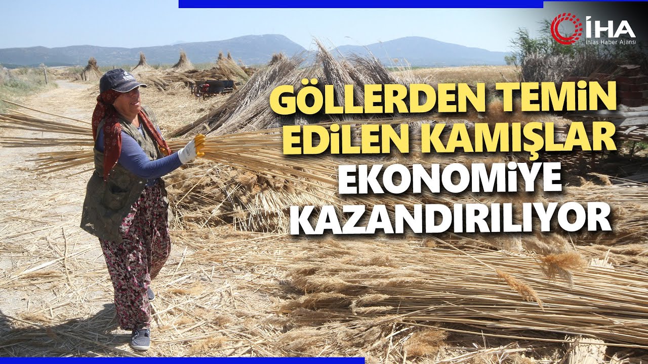 Türkiye'nin Göllerinden Toplanan Kamışlar Konya'da Ekonomiye Kazandırılıyor