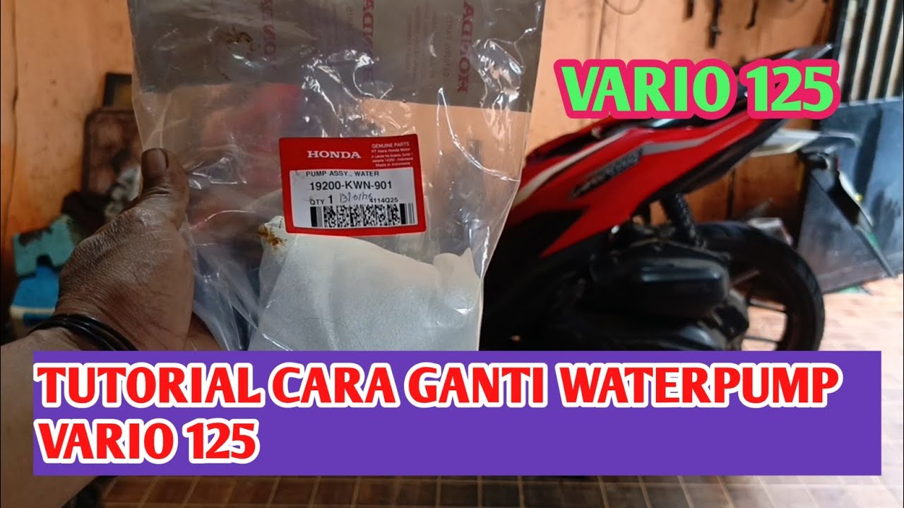 Tutorial cara ganti waterpump vario 125