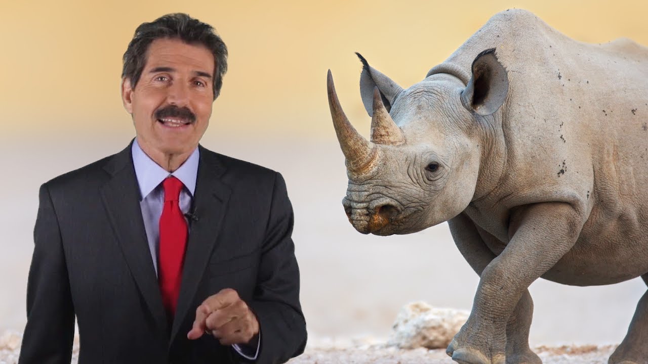 Stossel: Save the Rhinos!