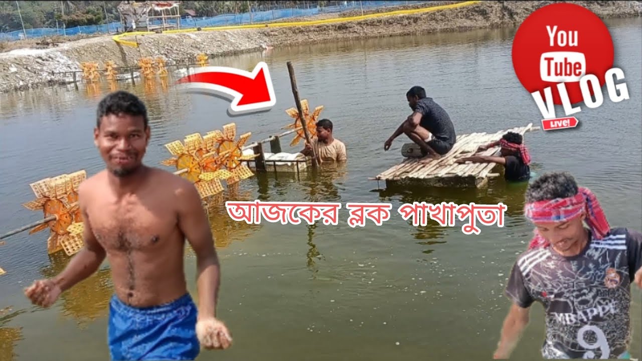 আজকের ব্লক পাখাপুতা part (1)  
