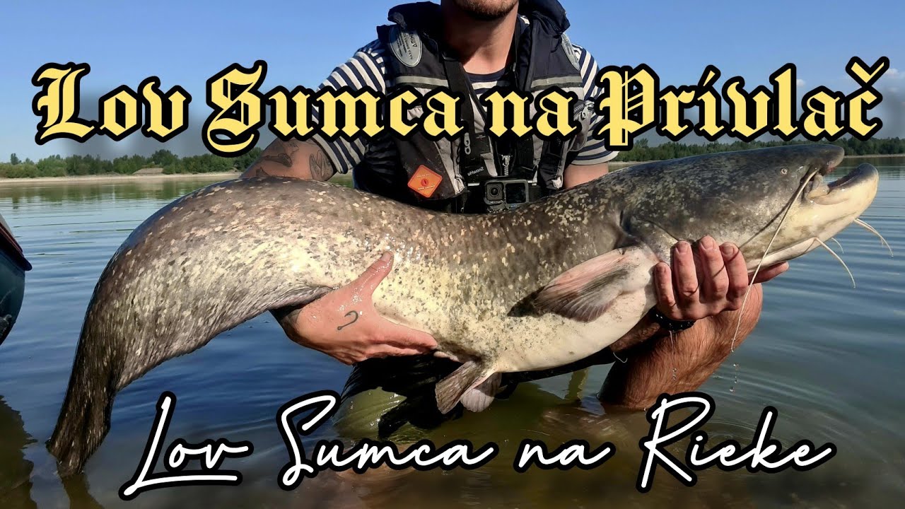 Lov Sumca na Prívlač/ Lov Sumca na Rieke/#Catfishing #riverfishing/Lov Sumca na Trhačku ako Bonus