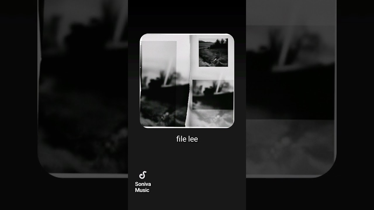 File Lee 