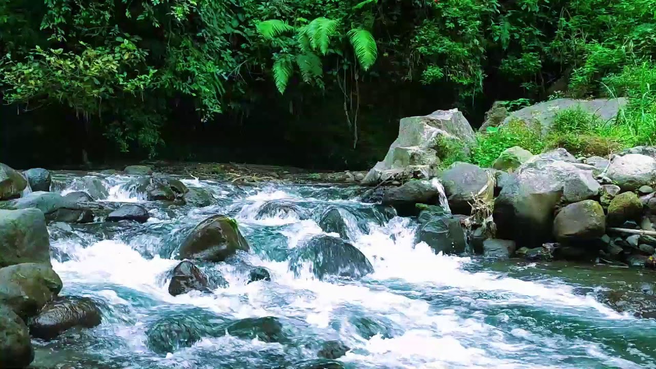 Healing River Sounds  10 Hours Stress Relief  Sleep Therapy