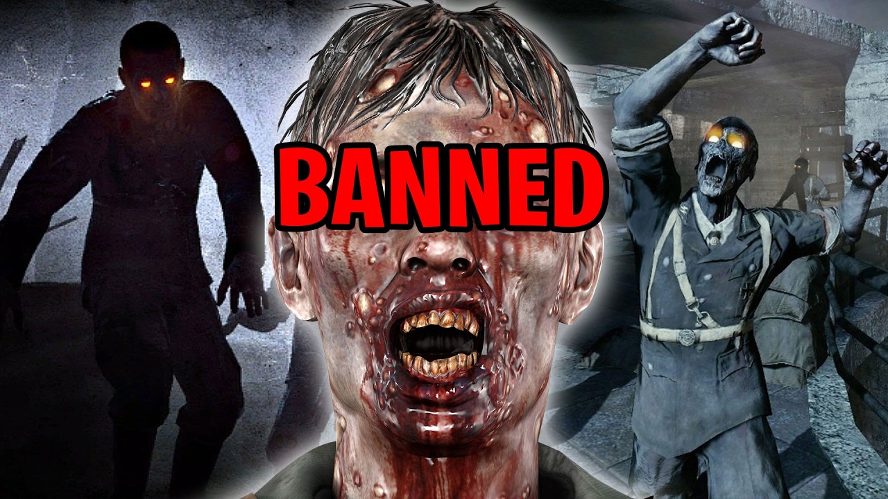 The 300 Hour CHEATED COD Zombies World Record.