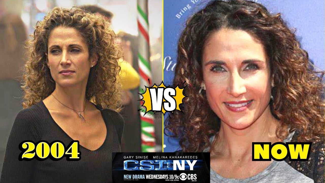 CSI: NY 2004 Cast Then and Now 2023 How They Changed | Crime Scene Investigation | Tele Cast