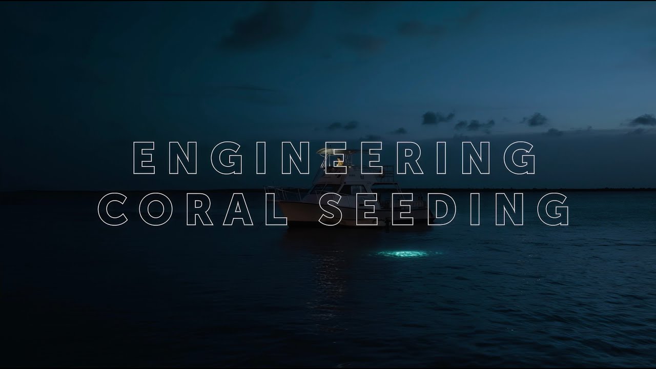 Engineering Coral Seeding &mdash; How Technology Enables Large-scale Reef Restoration