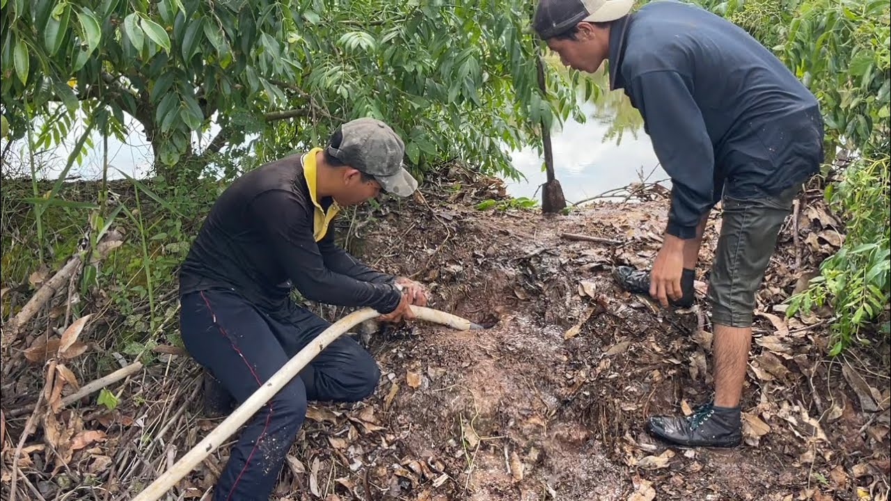 Phát Hiện Cặp Rắn Khủng Nào Giờ Mới Thấy Cảnh Này | Hunting | - TT1748
