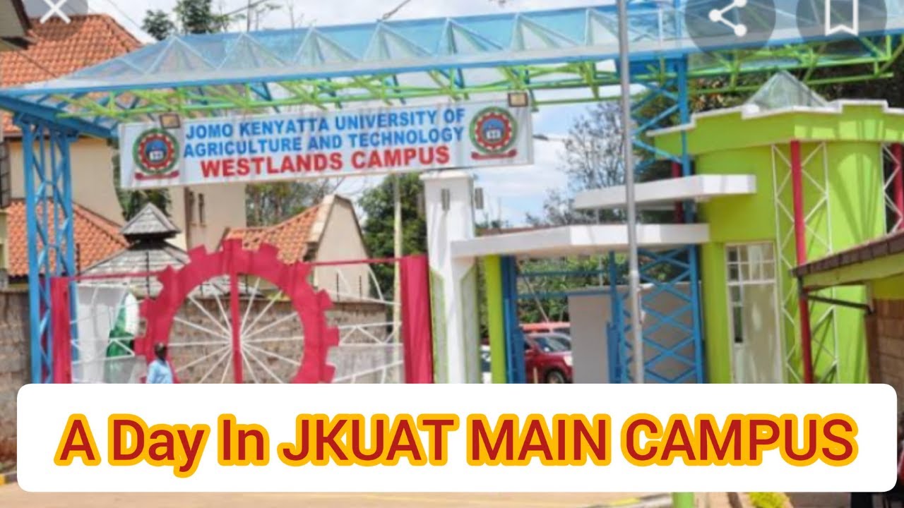 A One Time Experience In JKUAT Main Campus|||JUJA