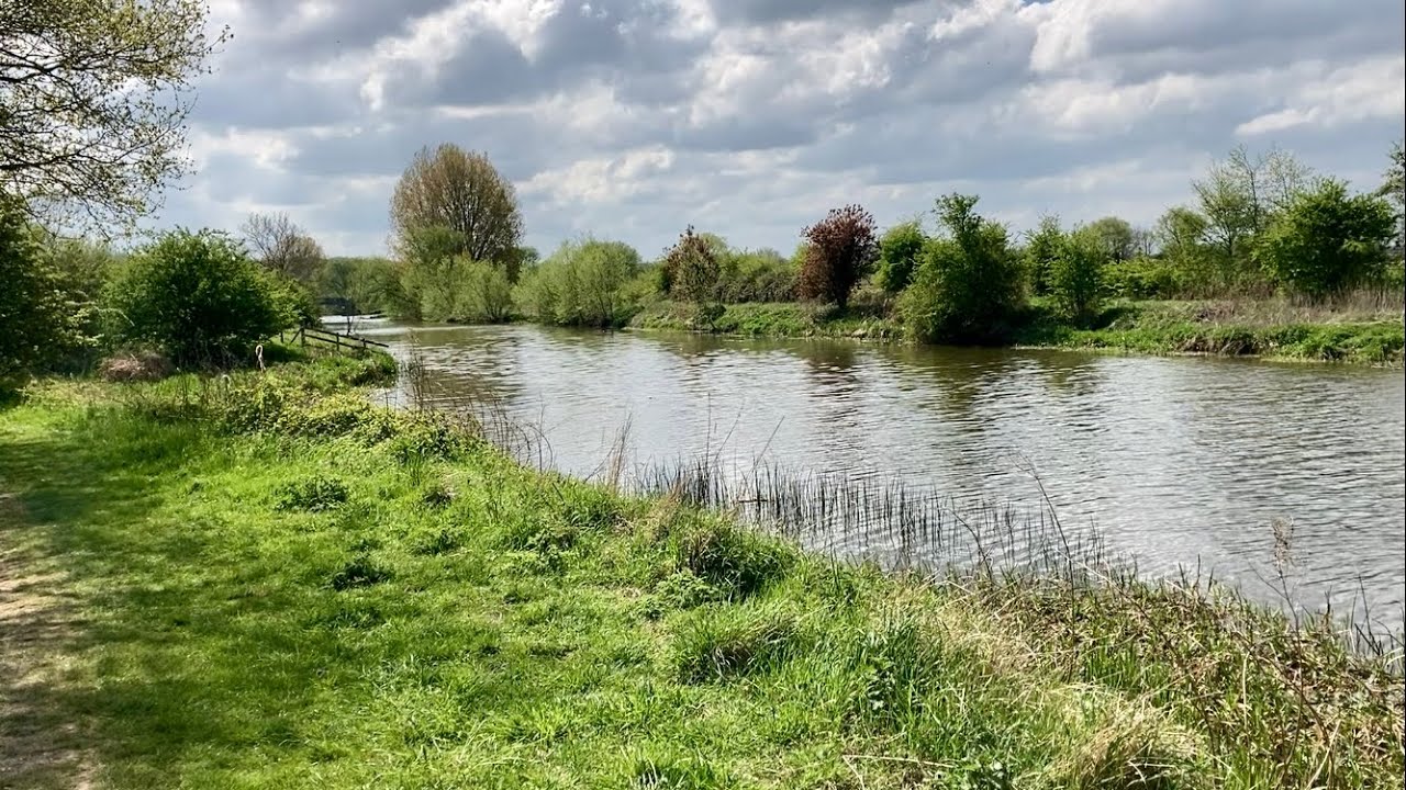 Walk around Peterborough Ferry Meadows, Bluebell Wood & River Nene. Fantastic day for all. Superb!