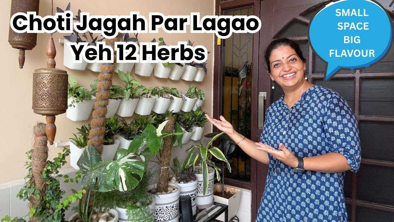 🪴12 Herbs for Small Spaces | Choti Si Balcony Mein Lagao Yeh 12 Herbs
