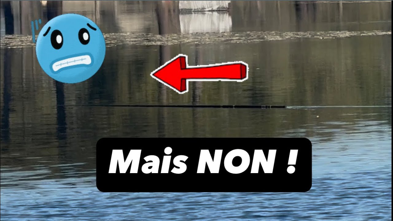 On se fait VOLER la CANNE par un POISSON et la SUITE va VRAIMENT vous ÉTONNER !! 