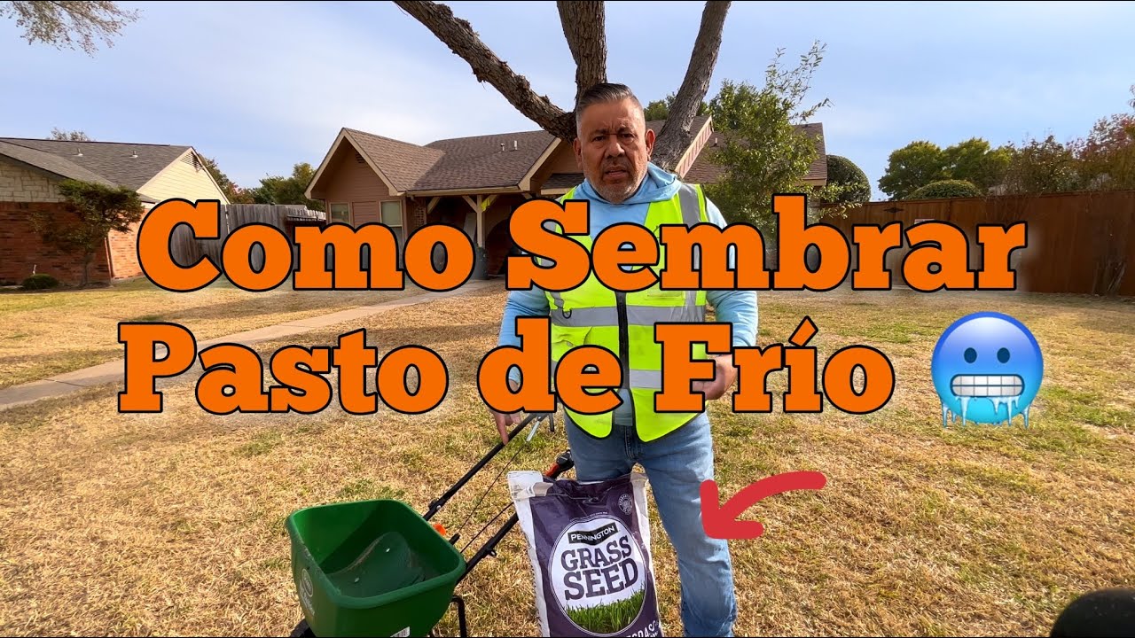 Sembrando pasto Frio| Como sembrar pasto de frio