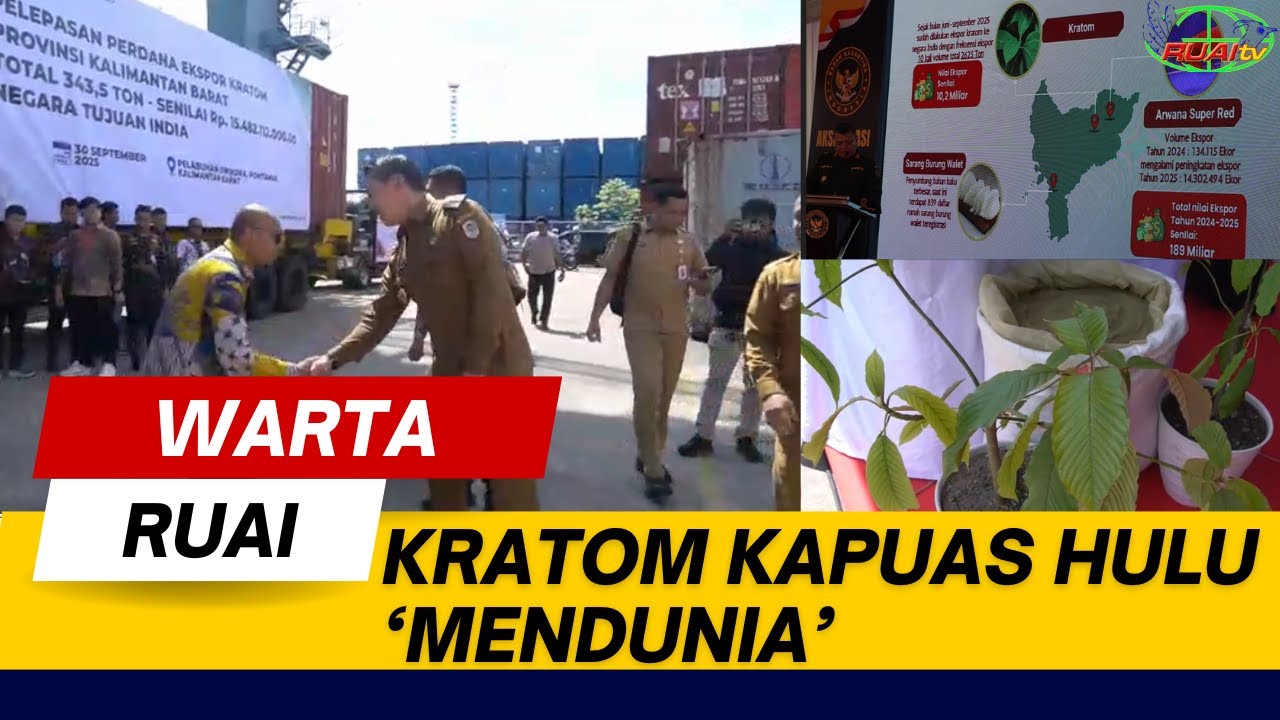 KRATOM KAPUAS HULU &lsquo;MENDUNIA&rsquo;