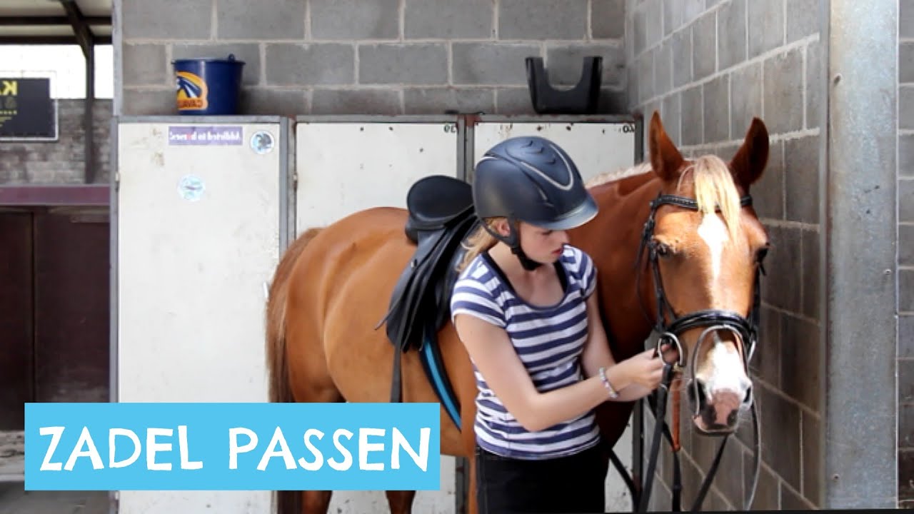 Zadel passen met zadelpasservice Libertad
